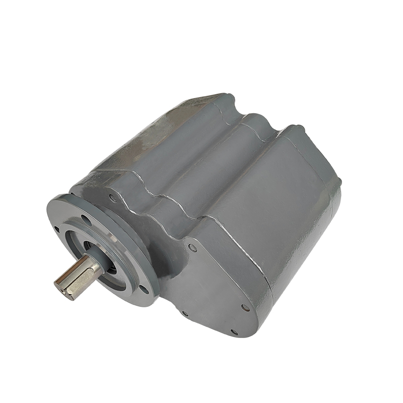 AMC16 Gaston micro gear reduction motor